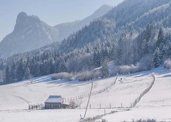 Appartement Luisalle 2 Auffach